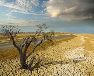 Paysage de désert - crédits : Orin/ Shutterstock