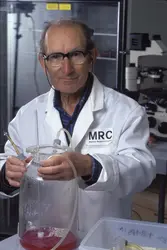 César Milstein - crédits : MRC Laboratory of Molecular Biology