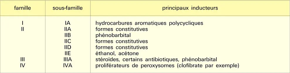 Cytochromes - crédits : Encyclopædia Universalis France