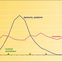 Maladies animales transmissibles - crédits : Encyclopædia Universalis France