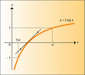 Fonction y = Log x - crédits : Encyclopædia Universalis France