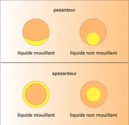 Positions d'un liquide - crédits : Encyclopædia Universalis France