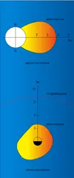 Plasmasphère et plasmapause - crédits : Encyclopædia Universalis France