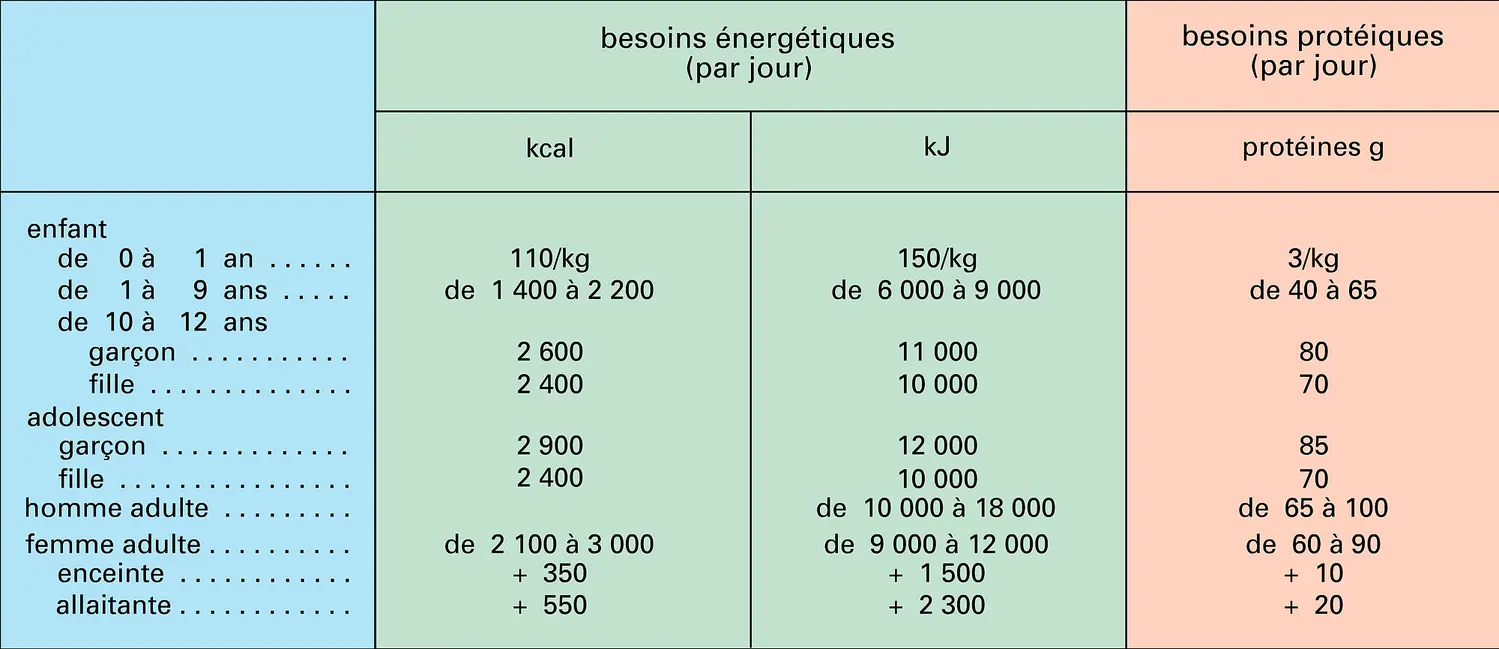 Besoins énergétiques de l'homme