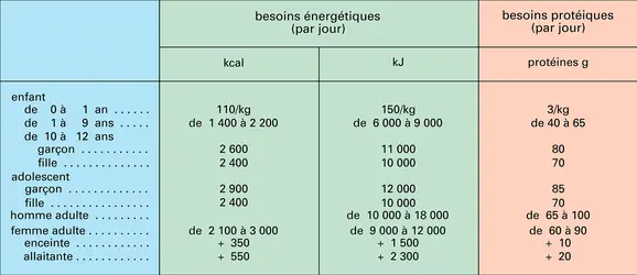 Besoins énergétiques de l'homme - crédits : Encyclopædia Universalis France