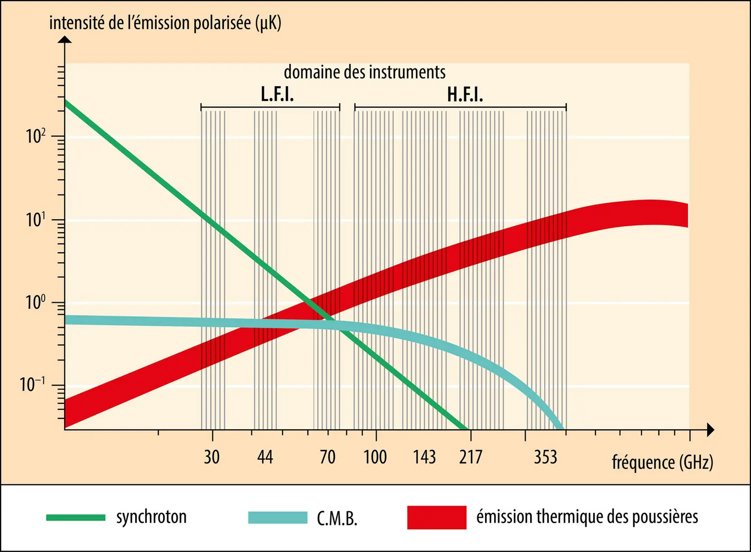 Sources de la lumière polarisée observée par les instruments de Planck