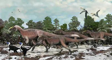 <it>Yutyrannus</it>, dinosaure à plumes - crédits : Brian Choo