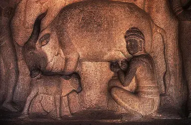 La Descente du Gange, bas-relief de Mahabalipuram, Inde - crédits : Dinodia Picture Agency, Bombay,  Bridgeman Images 