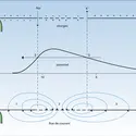 Aspects caractéristiques - crédits : Encyclopædia Universalis France