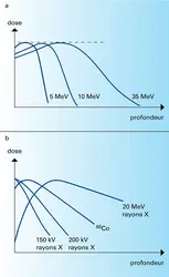 Distribution de dose par faisceaux d'électrons et de photons - crédits : Encyclopædia Universalis France