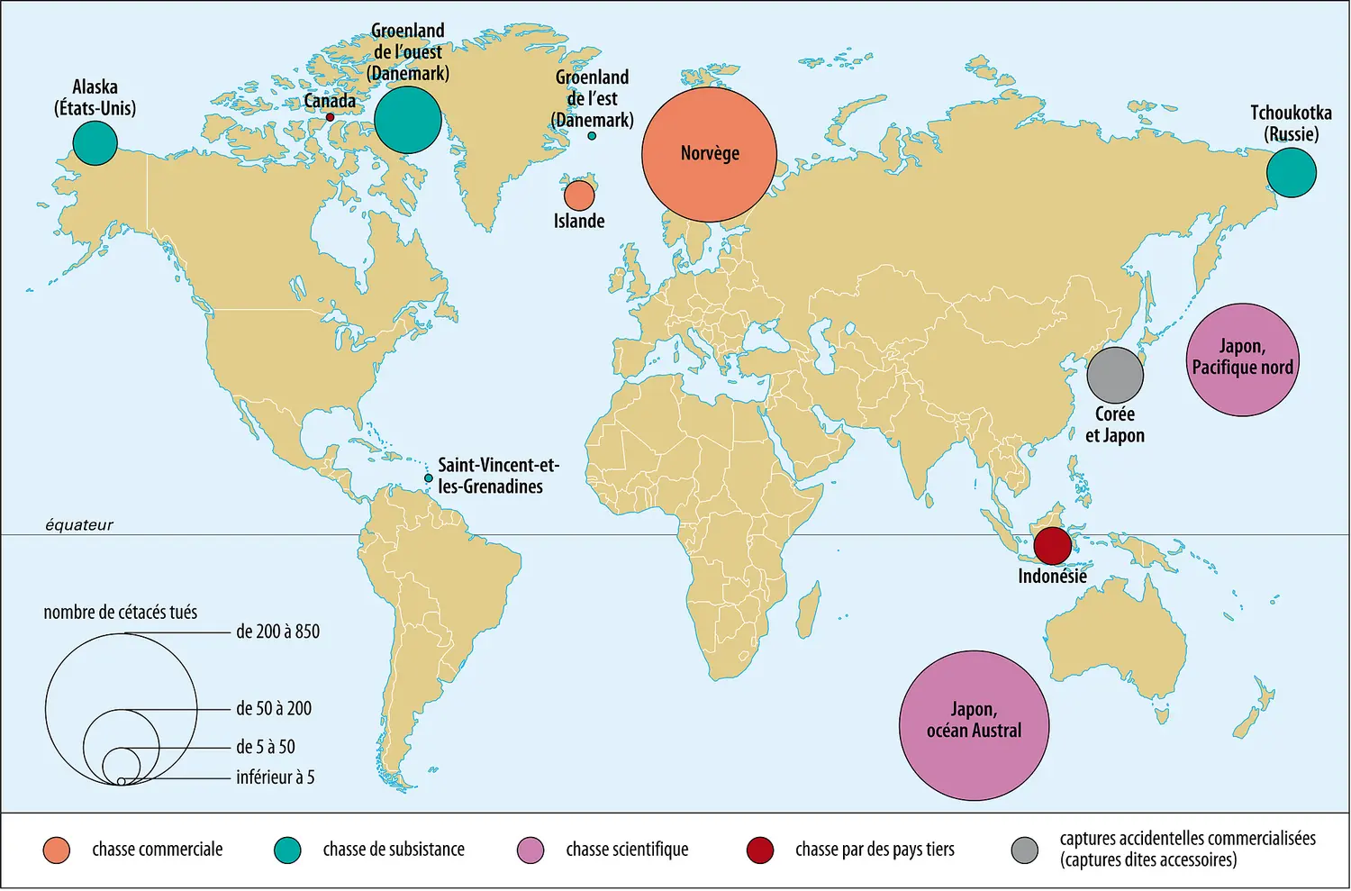 Chasse à la baleine : type et localisation