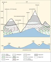 Alpes suisses : végétation, sols et climat - crédits : Encyclopædia Universalis France