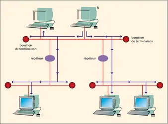 Réseau informatique local de topologie physique en bus - crédits : Encyclopædia Universalis France