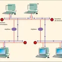 Réseau informatique local de topologie physique en bus - crédits : Encyclopædia Universalis France