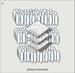 Cristaux thermotropes - crédits : Encyclopædia Universalis France