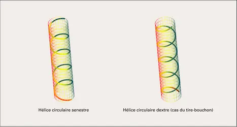 Hélice circulaire - crédits : Encyclopædia Universalis France