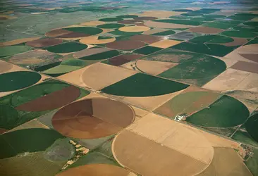 Paysage agricole, Texas - crédits : Jim Wark/ Agstockusa/ Age Fotostock