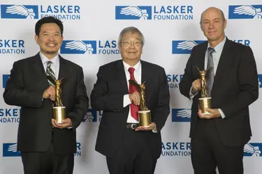 David Huang,&nbsp;James Fujimoto et&nbsp;Eric Swanson - crédits : Kate Milford/ Lasker Foundation