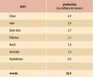 Coton : principaux producteurs
 - crédits : Encyclopædia Universalis France