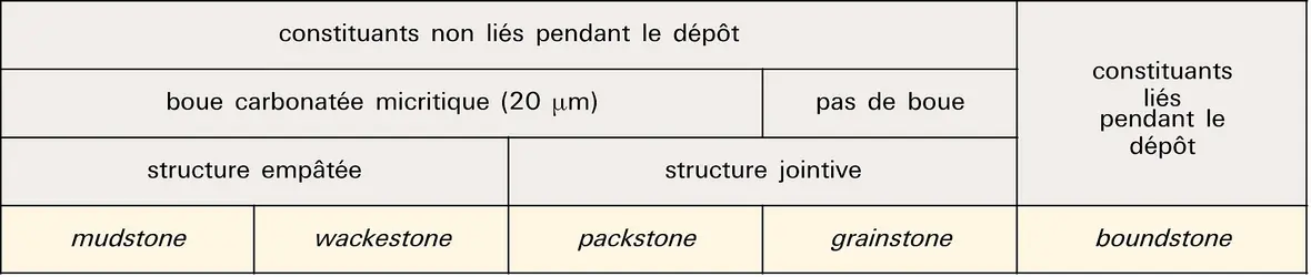 Classification d'après Dunham - crédits : Encyclopædia Universalis France