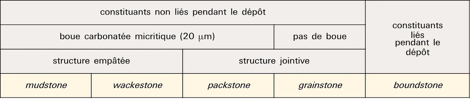 Classification d'après Dunham