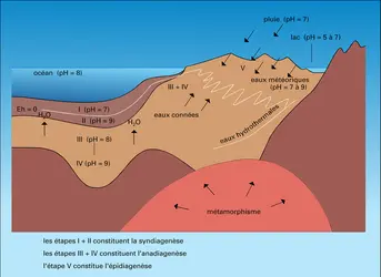 Marge continentale : phases de la diagenèse - crédits : Encyclopædia Universalis France