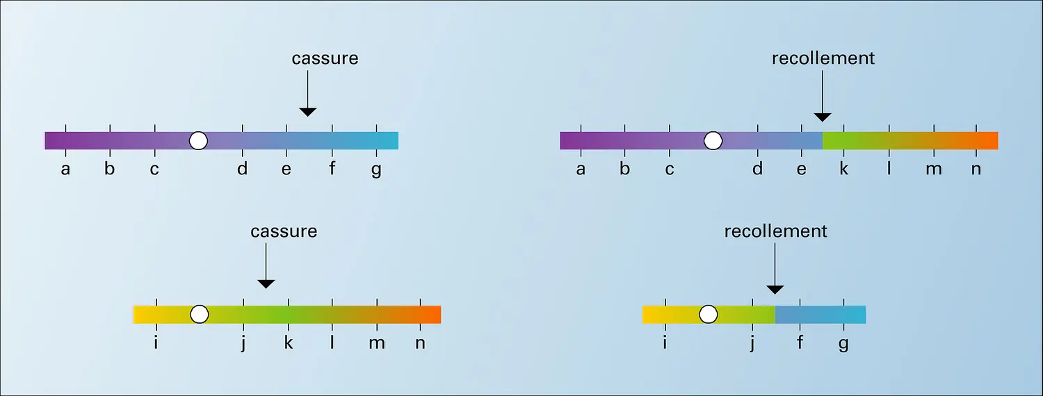 Translocation réciproque