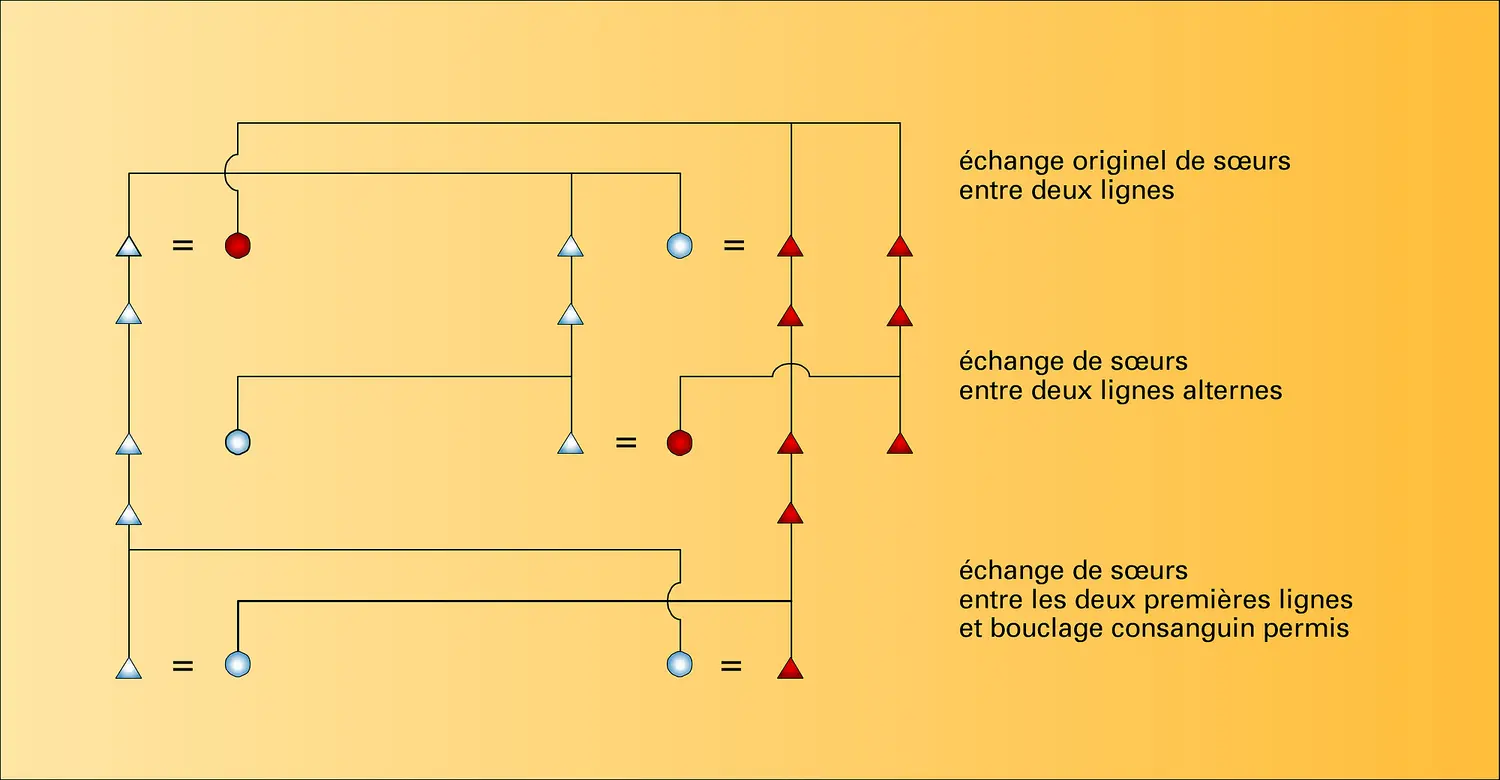 Échange restreint