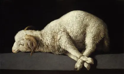 Un jeune mouton, F. de Zurbarán - crédits : Fine Art Images/ Heritage Images/ Getty Images