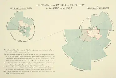 Diagrammes des causes de mortalité dans l’armée britannique pendant la guerre de Crimée, F. Nightingale - crédits : National Library of Medicine - IHM/ resource.nlm.nih.gov