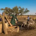 Peuls (Tchad) - crédits : 	Godong/ Getty Images