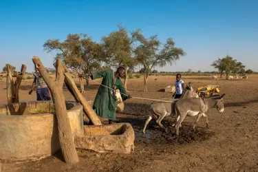 Peuls (Tchad) - crédits : 	Godong/ Getty Images