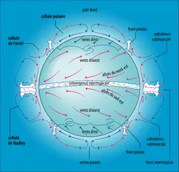 Circulation générale de l’atmosphère terrestre - crédits : Encyclopædia Universalis France