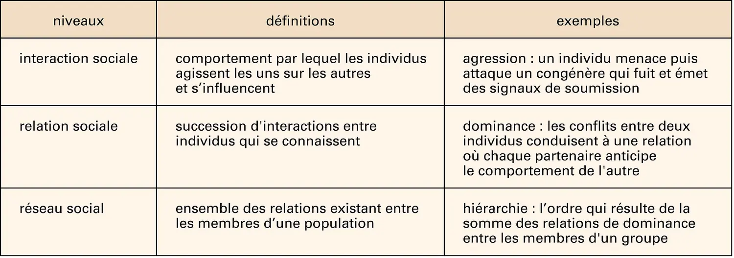 Sociétés animales : niveaux d'intégration