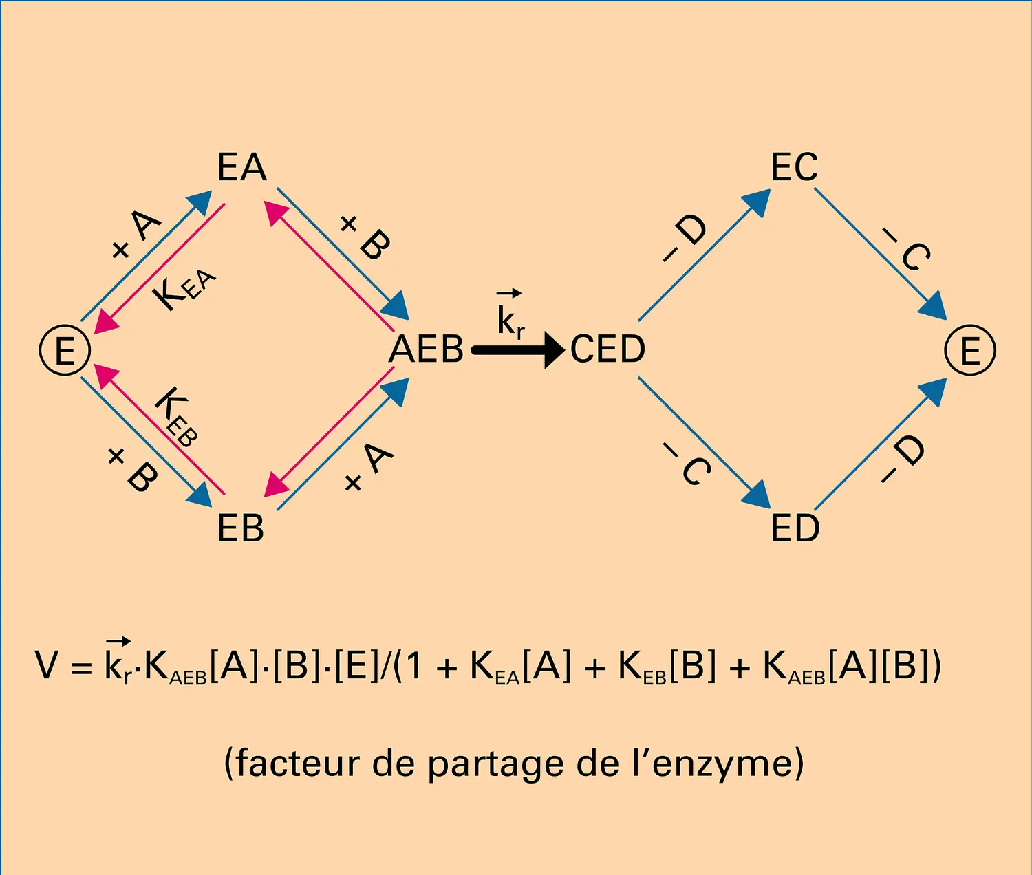 Réaction catalytique