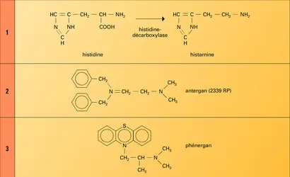 Antihistaminiques de synthèse - crédits : Encyclopædia Universalis France