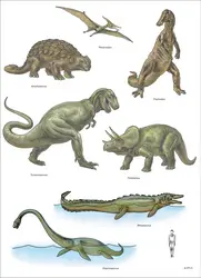 Crétacé : reptiles - crédits : Encyclopædia Universalis France