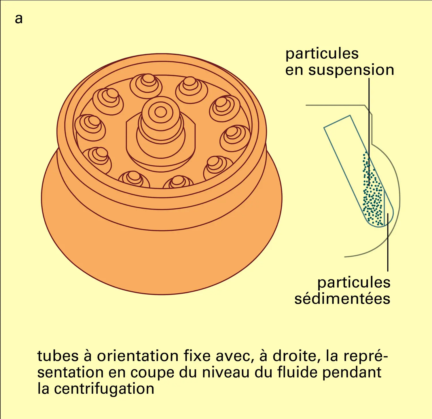 Ultracentrifugeuses - vue 1