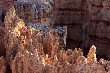 Bryce Canyon - crédits : S. Pendse/ Shutterstock