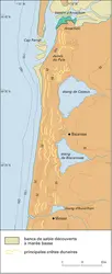 Dunes et étangs de la côte landaise - crédits : Encyclopædia Universalis France