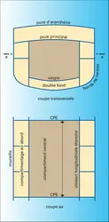 Compartimentage principal - crédits : Encyclopædia Universalis France