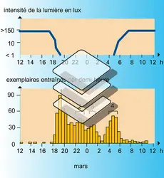 Phénomène de dérive - crédits : Encyclopædia Universalis France