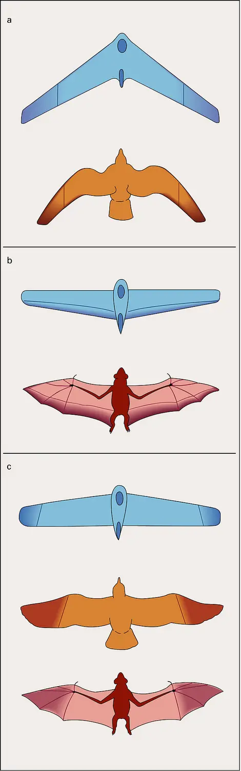 Stabilité de tangage