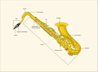 Saxophone ténor - crédits : Encyclopædia Universalis France