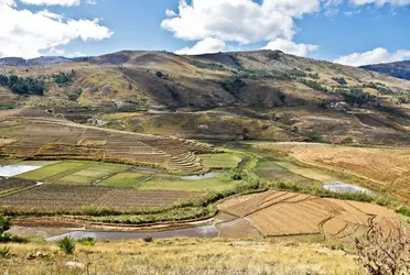 Collines malgaches - crédits : Liz Leyden/ Getty Images