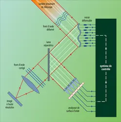 Système : fonctionnement - crédits : Encyclopædia Universalis France