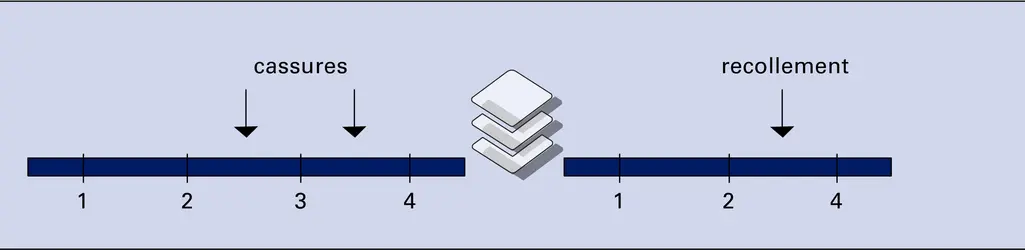 Remaniements chromosomiques - crédits : Encyclopædia Universalis France