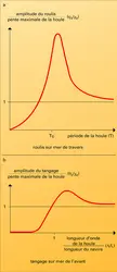 Roulis et tangage - crédits : Encyclopædia Universalis France