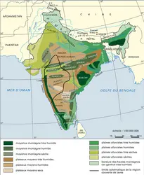 Milieux naturels - crédits : Encyclopædia Universalis France