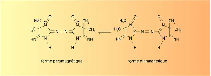 Porphyrindine - crédits : Encyclopædia Universalis France